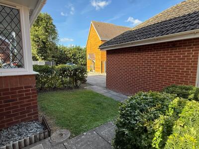 Picture 20